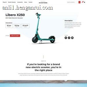 Electric Scooter